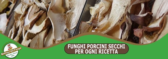 Vendita Online Dried porcini mushrooms